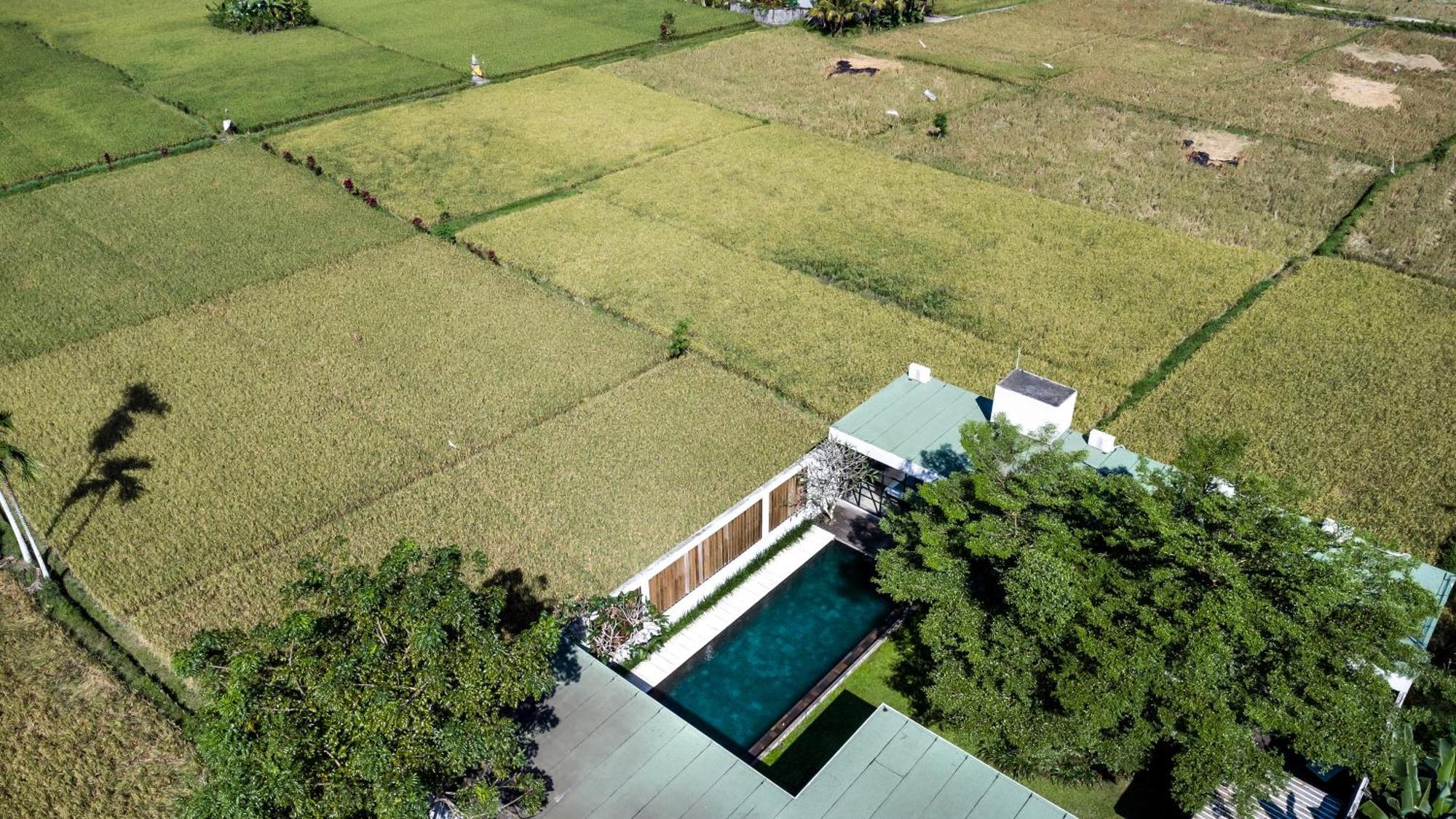 Loft Matahari By Balisuperhost Villa Ubud Kültér fotó